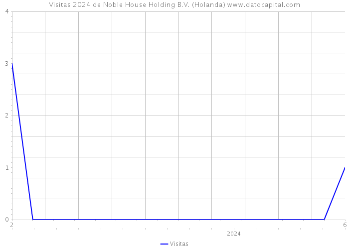 Visitas 2024 de Noble House Holding B.V. (Holanda) 