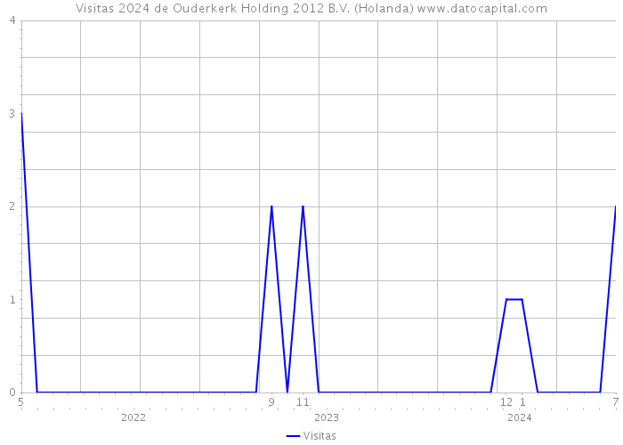 Visitas 2024 de Ouderkerk Holding 2012 B.V. (Holanda) 
