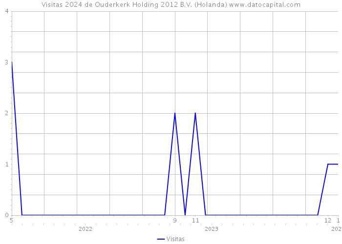 Visitas 2024 de Ouderkerk Holding 2012 B.V. (Holanda) 