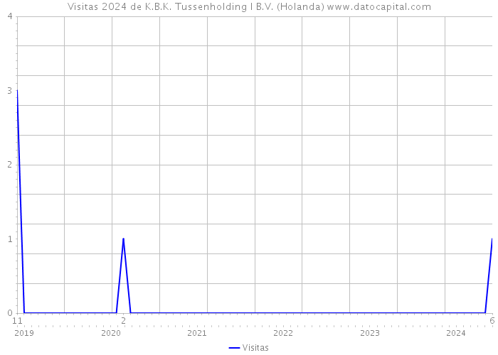 Visitas 2024 de K.B.K. Tussenholding I B.V. (Holanda) 