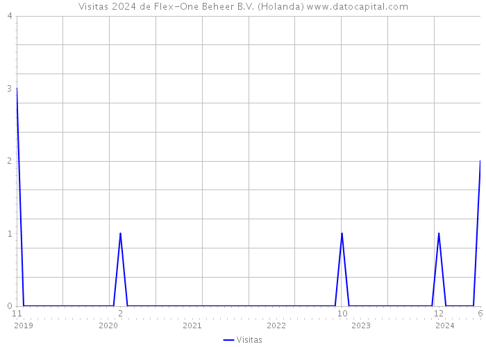 Visitas 2024 de Flex-One Beheer B.V. (Holanda) 