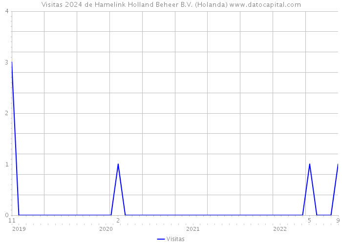 Visitas 2024 de Hamelink Holland Beheer B.V. (Holanda) 