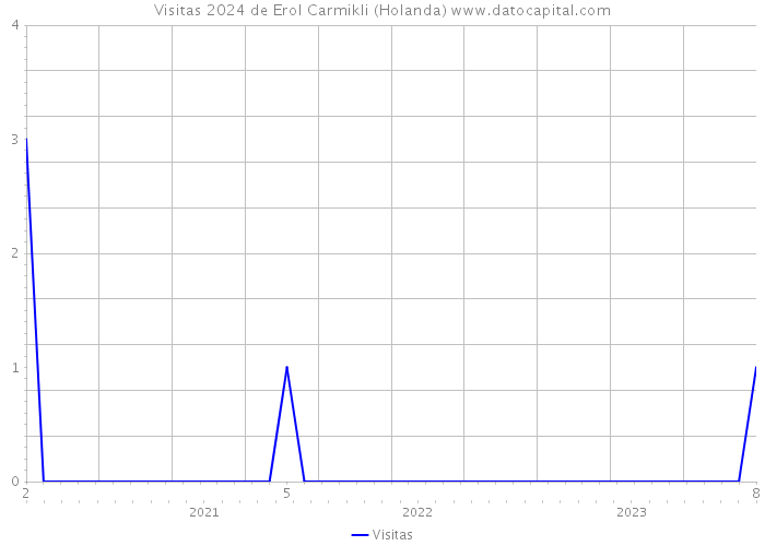 Visitas 2024 de Erol Carmikli (Holanda) 