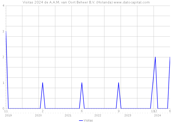 Visitas 2024 de A.A.M. van Oort Beheer B.V. (Holanda) 