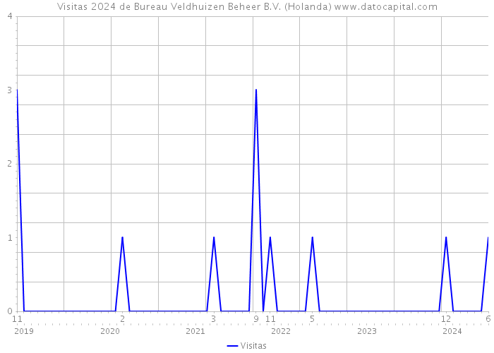 Visitas 2024 de Bureau Veldhuizen Beheer B.V. (Holanda) 