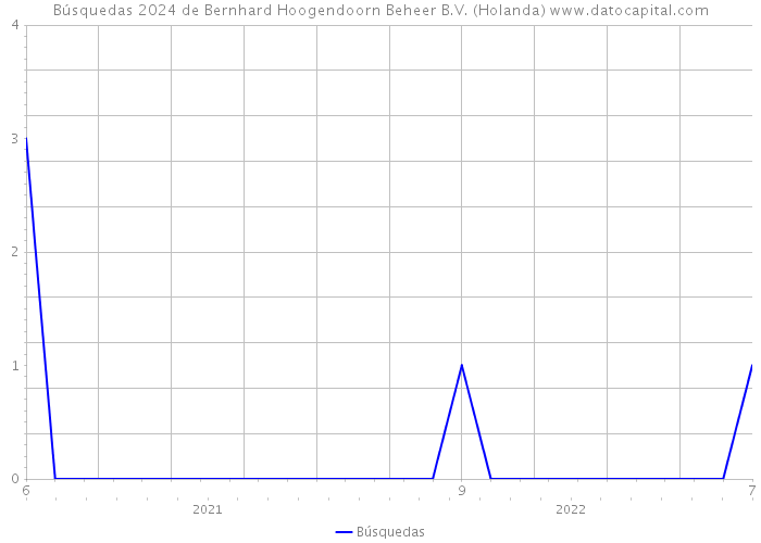 Búsquedas 2024 de Bernhard Hoogendoorn Beheer B.V. (Holanda) 