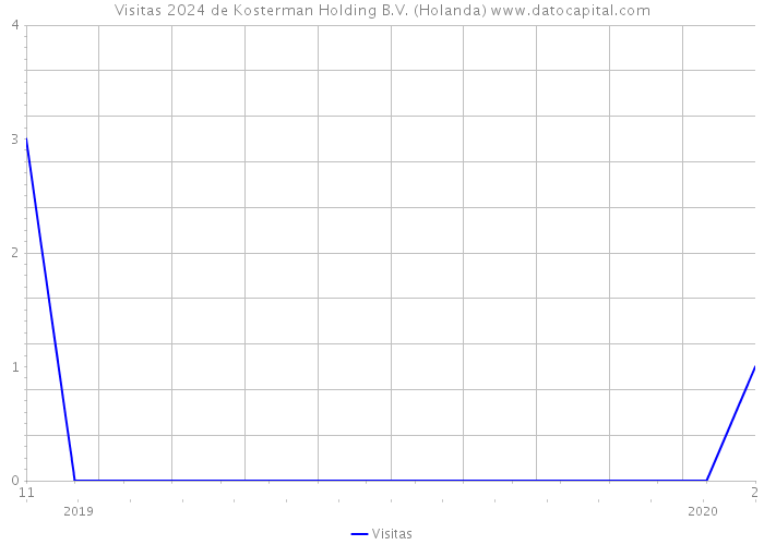 Visitas 2024 de Kosterman Holding B.V. (Holanda) 