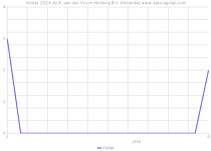 Visitas 2024 de R. van der Voorn Holding B.V. (Holanda) 