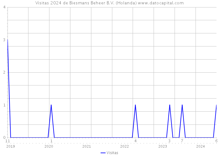 Visitas 2024 de Biesmans Beheer B.V. (Holanda) 