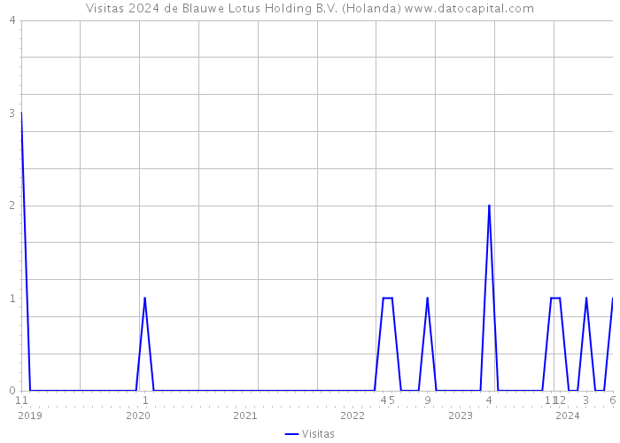 Visitas 2024 de Blauwe Lotus Holding B.V. (Holanda) 