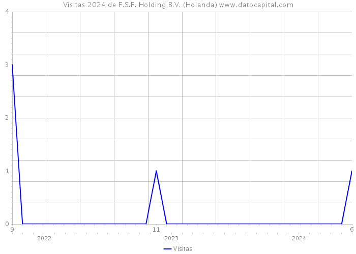 Visitas 2024 de F.S.F. Holding B.V. (Holanda) 