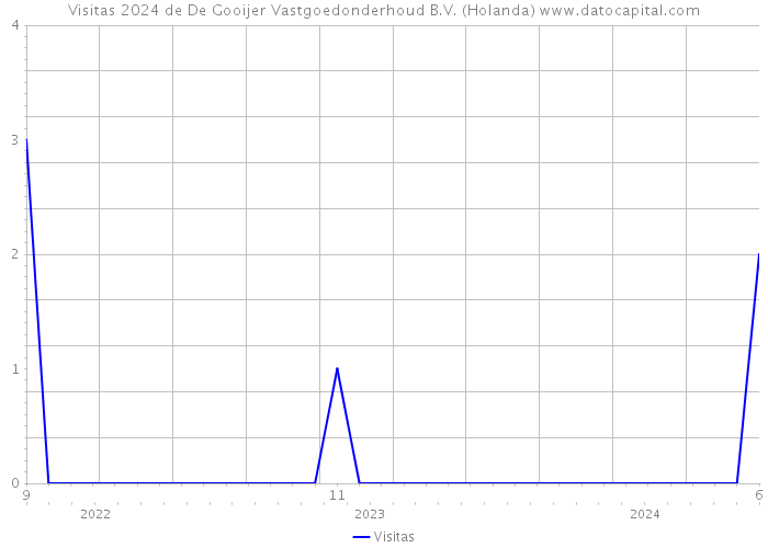 Visitas 2024 de De Gooijer Vastgoedonderhoud B.V. (Holanda) 