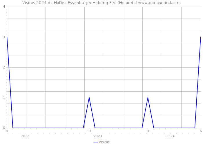 Visitas 2024 de HaDee Essenburgh Holding B.V. (Holanda) 