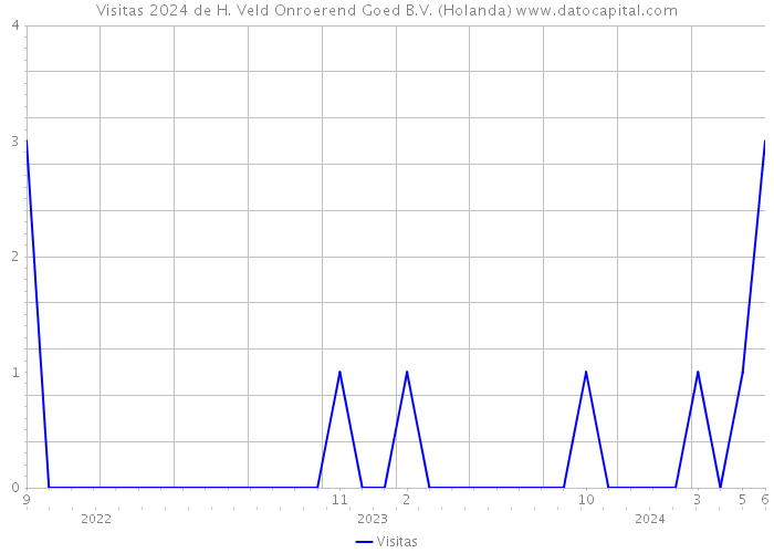 Visitas 2024 de H. Veld Onroerend Goed B.V. (Holanda) 