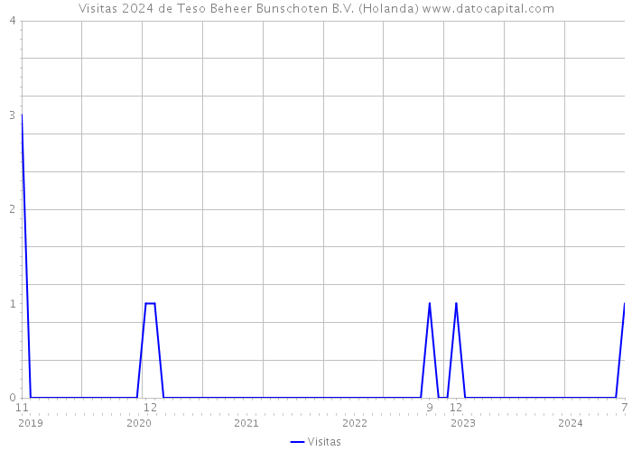 Visitas 2024 de Teso Beheer Bunschoten B.V. (Holanda) 