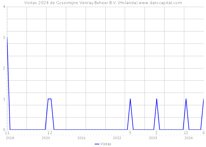 Visitas 2024 de Gossimijne Venray Beheer B.V. (Holanda) 