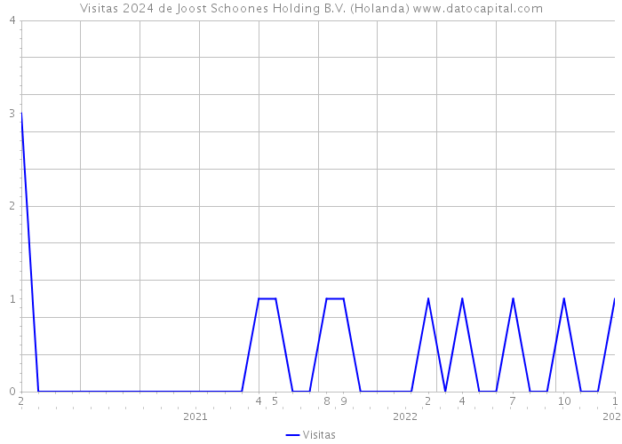 Visitas 2024 de Joost Schoones Holding B.V. (Holanda) 