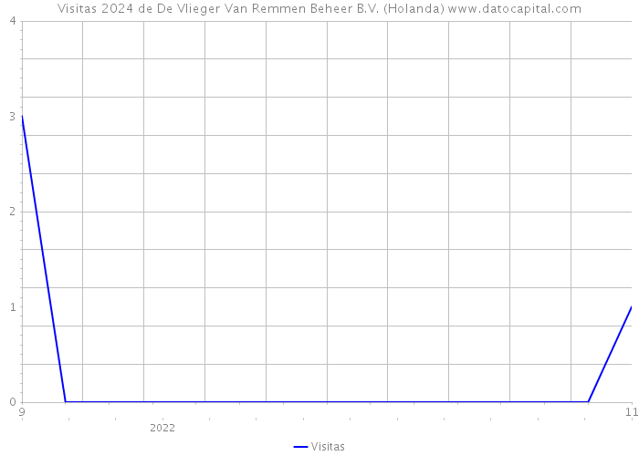 Visitas 2024 de De Vlieger Van Remmen Beheer B.V. (Holanda) 