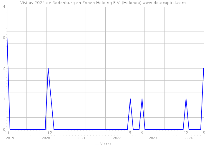 Visitas 2024 de Rodenburg en Zonen Holding B.V. (Holanda) 