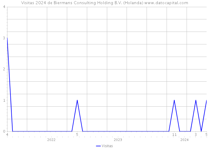 Visitas 2024 de Biermans Consulting Holding B.V. (Holanda) 