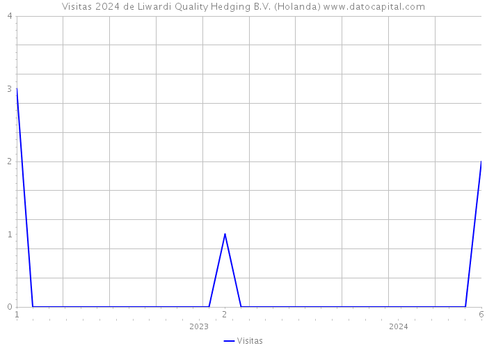 Visitas 2024 de Liwardi Quality Hedging B.V. (Holanda) 