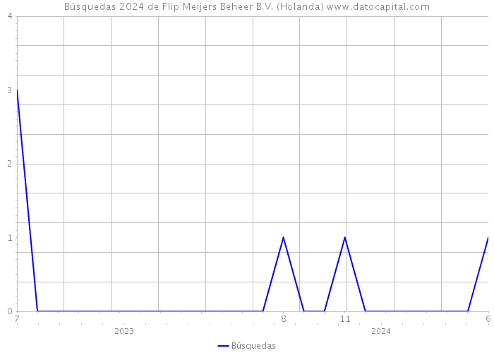 Búsquedas 2024 de Flip Meijers Beheer B.V. (Holanda) 