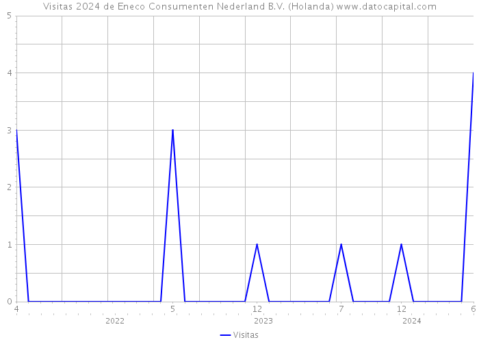Visitas 2024 de Eneco Consumenten Nederland B.V. (Holanda) 