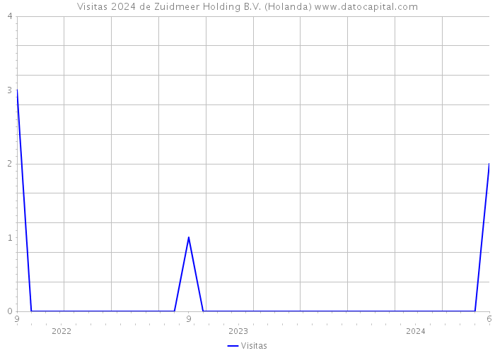 Visitas 2024 de Zuidmeer Holding B.V. (Holanda) 