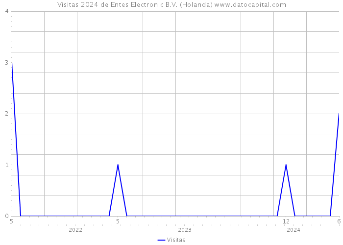 Visitas 2024 de Entes Electronic B.V. (Holanda) 