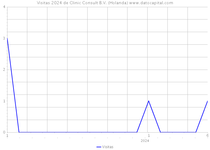 Visitas 2024 de Clinic Consult B.V. (Holanda) 