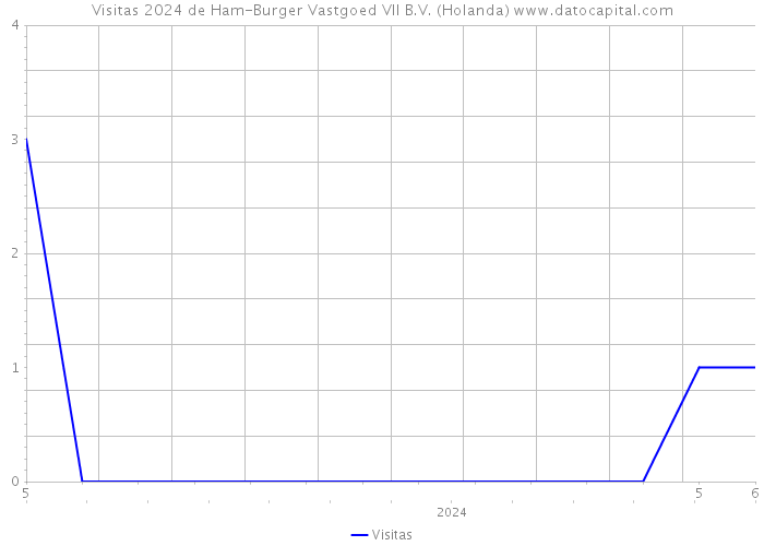 Visitas 2024 de Ham-Burger Vastgoed VII B.V. (Holanda) 