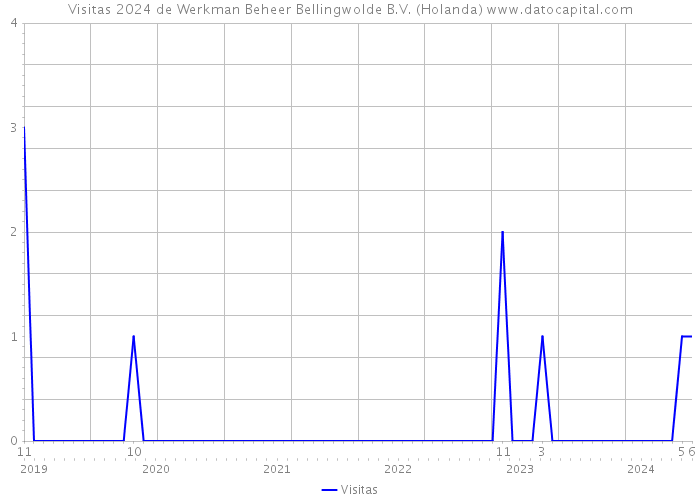 Visitas 2024 de Werkman Beheer Bellingwolde B.V. (Holanda) 
