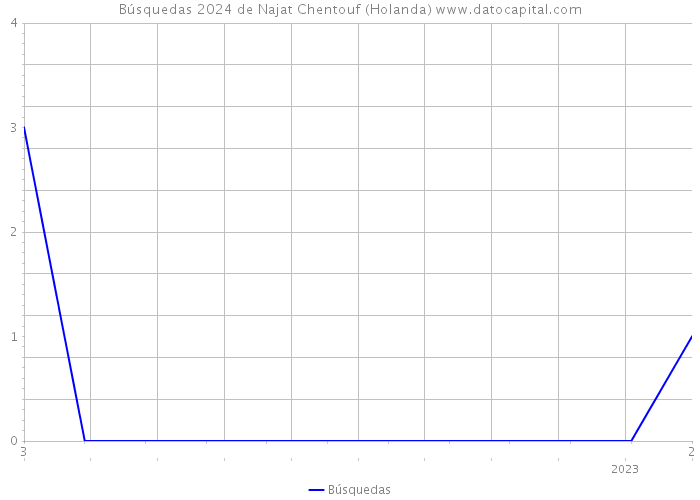 Búsquedas 2024 de Najat Chentouf (Holanda) 