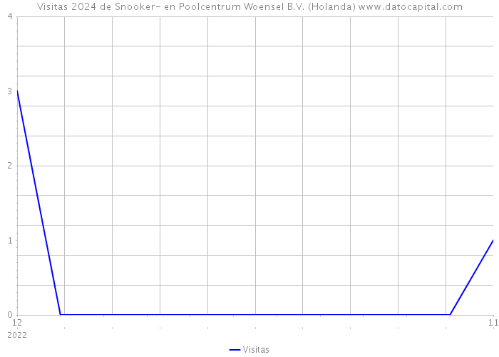 Visitas 2024 de Snooker- en Poolcentrum Woensel B.V. (Holanda) 