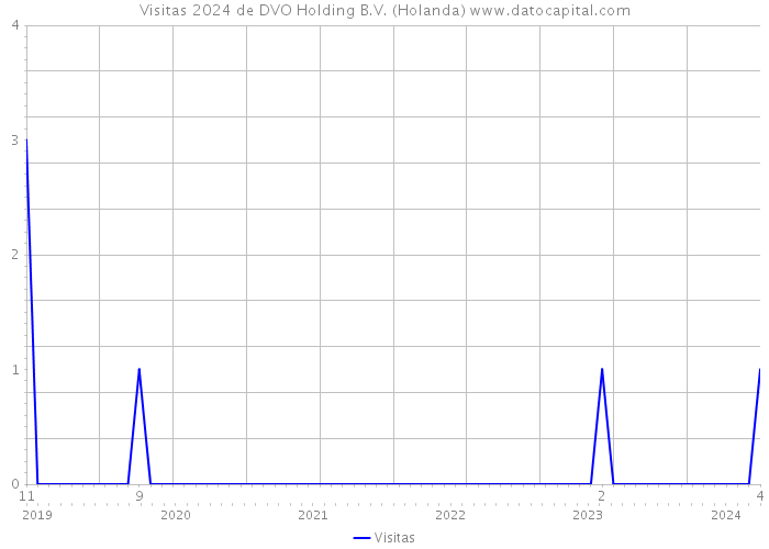 Visitas 2024 de DVO Holding B.V. (Holanda) 