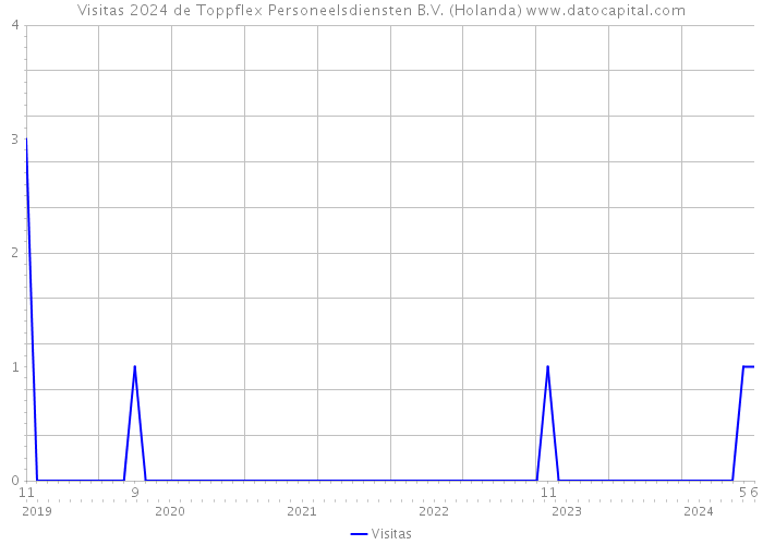 Visitas 2024 de Toppflex Personeelsdiensten B.V. (Holanda) 