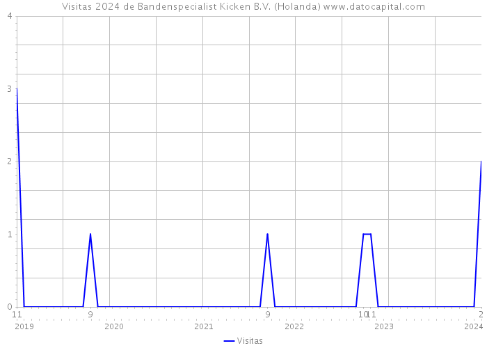 Visitas 2024 de Bandenspecialist Kicken B.V. (Holanda) 