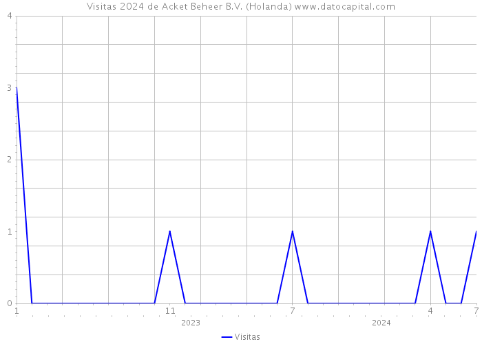 Visitas 2024 de Acket Beheer B.V. (Holanda) 