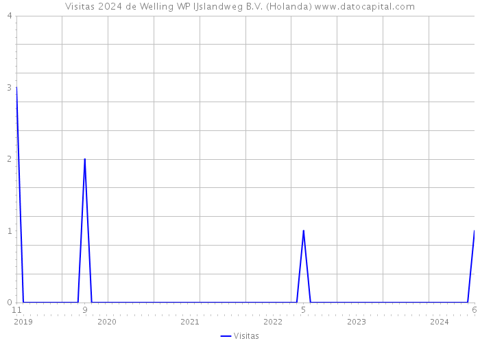 Visitas 2024 de Welling WP IJslandweg B.V. (Holanda) 