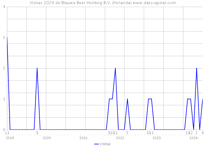 Visitas 2024 de Blauwe Beer Holding B.V. (Holanda) 