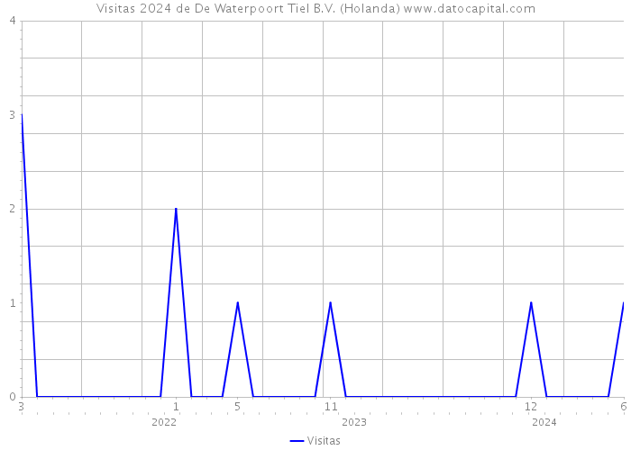 Visitas 2024 de De Waterpoort Tiel B.V. (Holanda) 