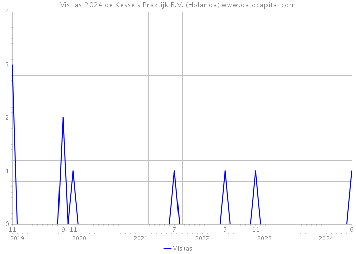 Visitas 2024 de Kessels Praktijk B.V. (Holanda) 