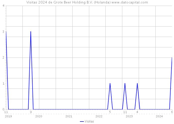 Visitas 2024 de Grote Beer Holding B.V. (Holanda) 