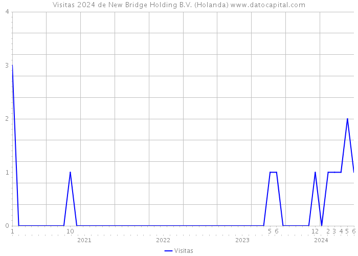 Visitas 2024 de New Bridge Holding B.V. (Holanda) 