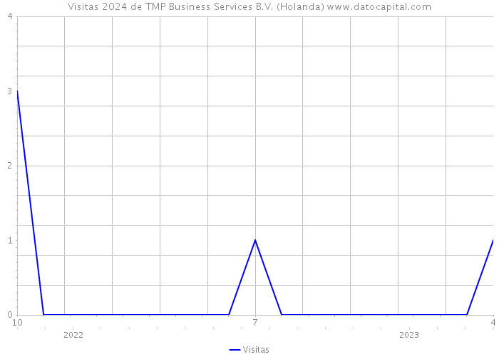 Visitas 2024 de TMP Business Services B.V. (Holanda) 