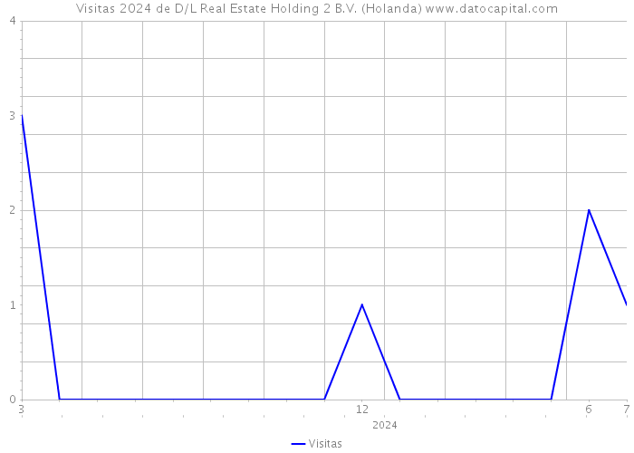 Visitas 2024 de D/L Real Estate Holding 2 B.V. (Holanda) 