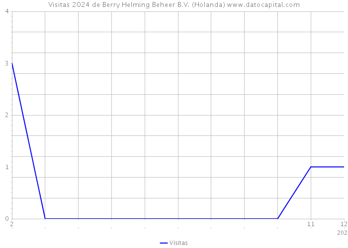 Visitas 2024 de Berry Helming Beheer B.V. (Holanda) 