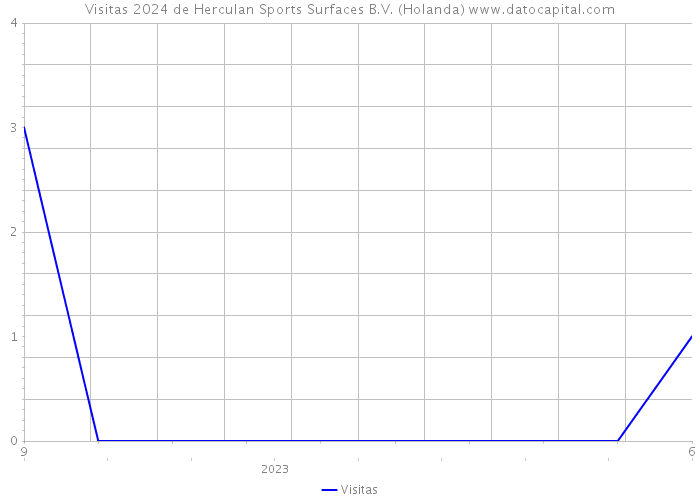 Visitas 2024 de Herculan Sports Surfaces B.V. (Holanda) 