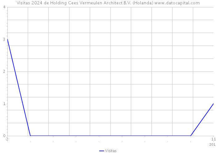 Visitas 2024 de Holding Cees Vermeulen Architect B.V. (Holanda) 