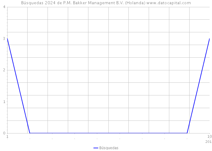 Búsquedas 2024 de P.M. Bakker Management B.V. (Holanda) 